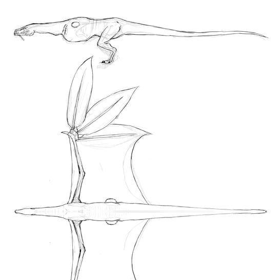 P2_ProjectVolatil_MDS